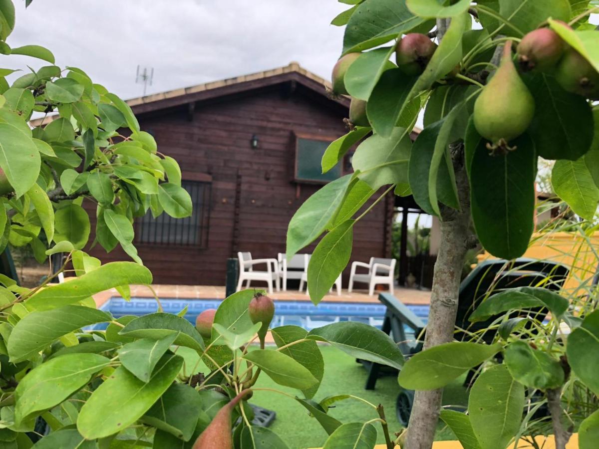 Casa De Madera El Oasis El Palomar Villa Sevilla Bagian luar foto